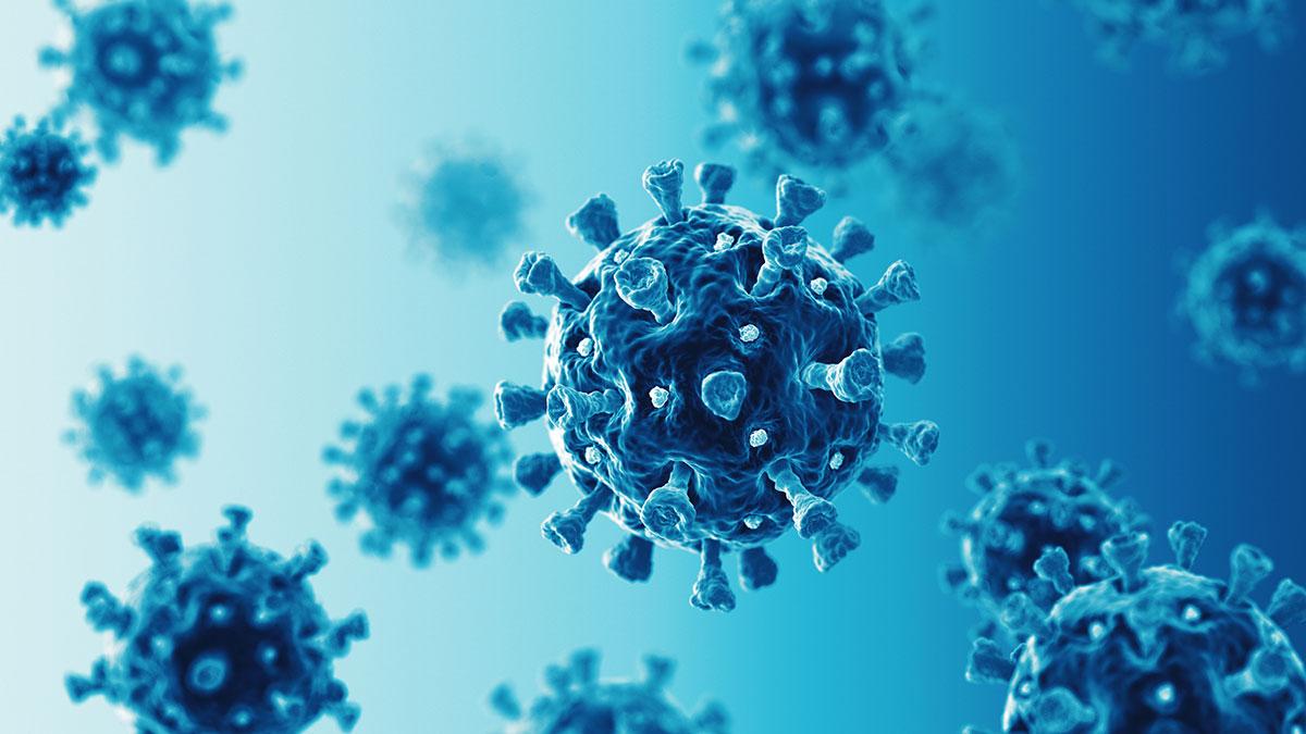 Virus image