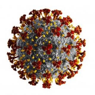 Coronavirus