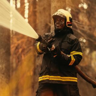 Firefighters in forest 